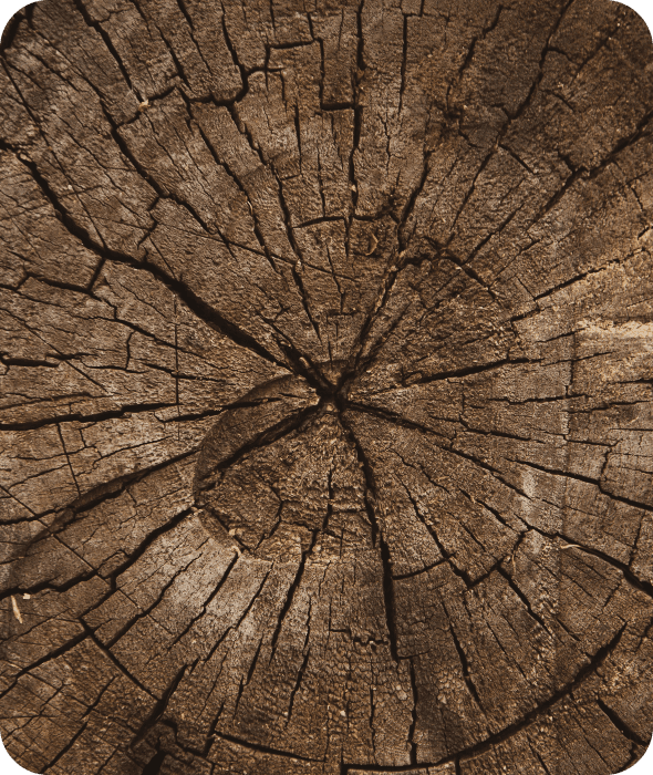 Data Science & Analytics