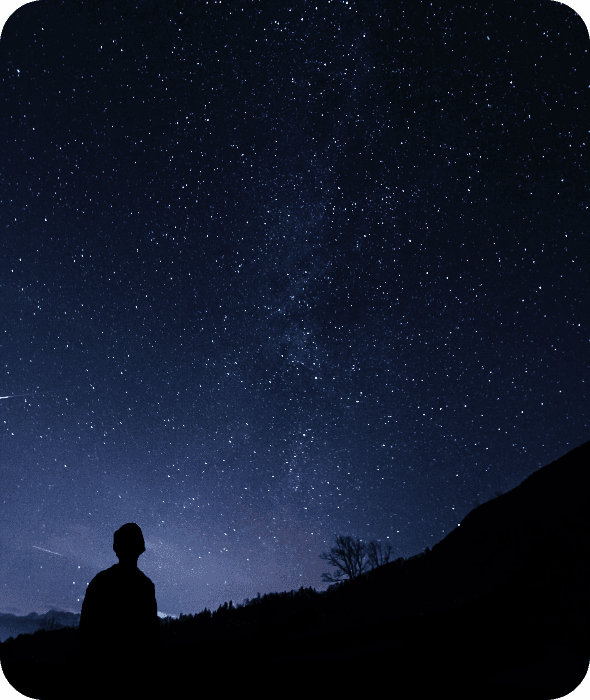 Surveys & Market Research