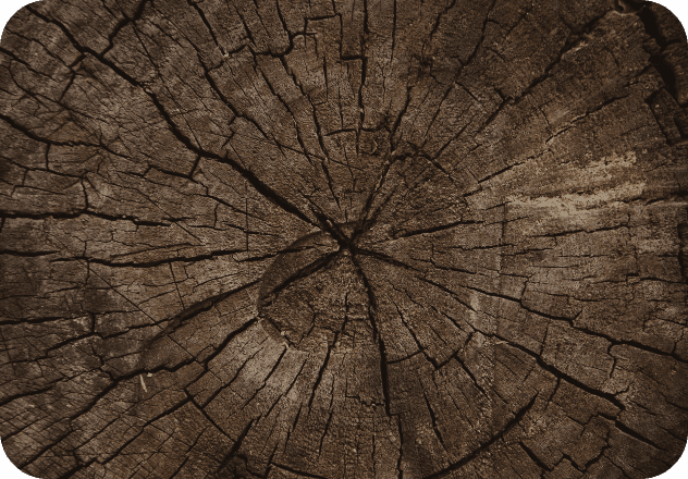 Data Science & Analytics